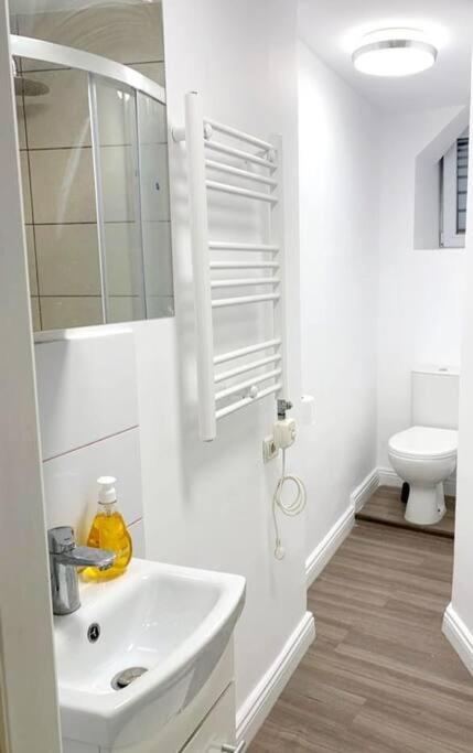 Central Studio Flat Boekarest Buitenkant foto